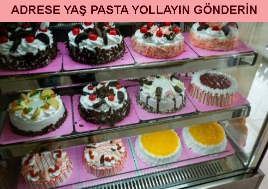 Şanlıurfa Kadıoğlu Mahallesi  Adrese yaş pasta yolla gönder