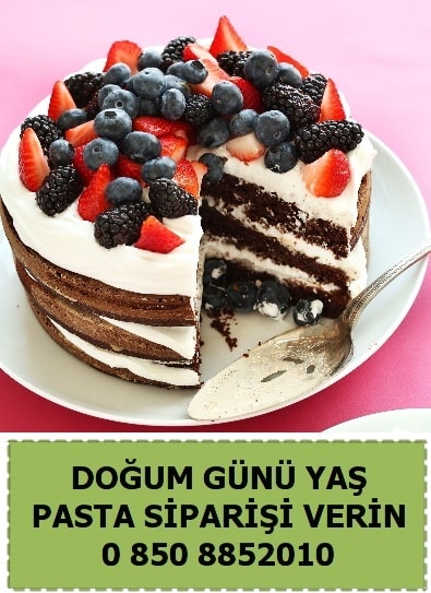 Şanlıurfa Atatürk Barajı  pasta satış sipariş