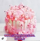 şanlıurfa Veysel Karani Mah doğum günü pastası gönder